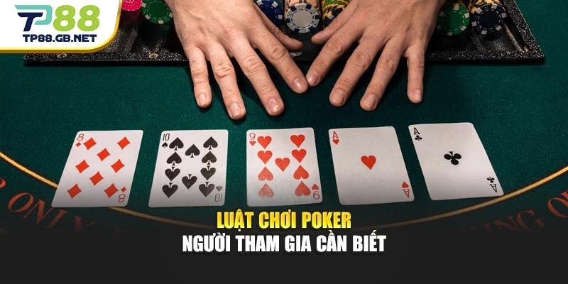 Luật chơi Poker người tham gia cần biết